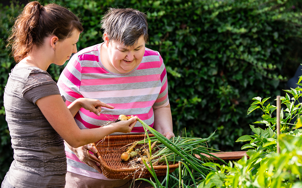 Ndis Service Provider in Blacktown, NDIS Service Provider in Blacktown